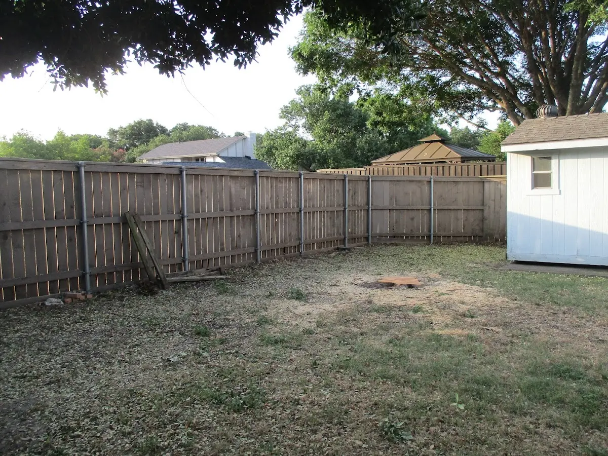 Cleared yard after professional tree removal in Stevensville